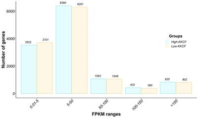 Transcriptome analysis of perirenal fat from Spanish Assaf suckling lamb carcasses showing different levels of kidney knob and channel fat